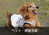 ペット・家族写真